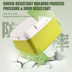 <span class=keywords><strong>Mini</strong></span>-Réfrigérateur Portable TUXIN 9L Glacière Couleur Personnalisée Fraîcheur 12 Heures pour Voyage en Voiture pour Fruits et Boissons - Product Image 3