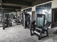 Máquina de Gimnasio de Doble Función con Pesas Integradas: Polea Alta y Remo Bajo