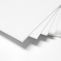 Fabricant Vente en gros 2mm PP Feuilles de plastique ondulé 4x8 Feuille pour la construction