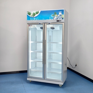 Frigorifero Commerciale a Due Porte con Temperatura Singola, Controllo Meccanico, Porta in Vetro, LED, Ripiani Regolabili, Refrigeratore per Bevande - Product Image 2