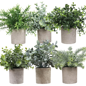 Plantes Bonsaï Artificielles Réalistes Peva Faux Oiseau de Paradis Arbre <span class=keywords><strong>Plante</strong></span> d'intérieur en Pot Palmier Tropical <span class=keywords><strong>Plante</strong></span> <span class=keywords><strong>Canna</strong></span> Artificielle - Product Image 5