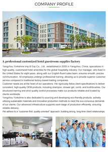 Biểu Tượng Tùy Chỉnh 3G/5G/10G Hãng Hàng Không Khách Sạn Du Lịch Kích Thước Dùng Một Lần Mini Sinh Thái Thân Thiện Với Kem Đánh Răng Trong Túi Giấy - Product Image 4