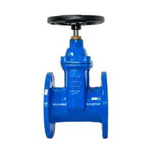 Gate Valve Gietijzer Carbon Staal Water Flens Gate Valve PN16 Gietijzeren Klep Voor Hdpe Pijp