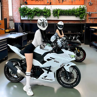 Motocicleta Deportiva Kawasaki Ninja 400cc de Segunda Mano, Estilo Nuevo, Modelo 250, de Gasolina