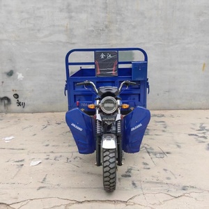 Tricycle cargo à essence à 3 roues, moteur 1000W, fabrication chinoise, type moto 48V - Vente flash - Product Image 2