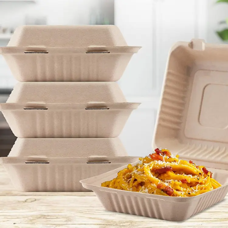 biodegradable compostable sugarcane plastic box disposable fast food packaging