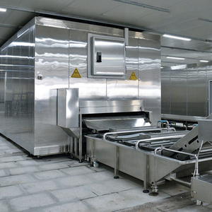 Línea de Congelación IQF para Espárragos y Vegetales, Máquina de Congelación Rápida para Vegetales de Hoja, Línea de Congelación de Brócoli - Product Image 1