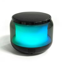 Altavoz Portátil para Exteriores con Luz LED, Mini Altavoz Bluetooth, Altavoz Portátil de Metal con Bajos Potentes