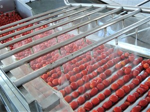 Máquina pequeña de producción de Salsa, pasta de tomate concentrada, Ketchup, zumo, Passat, procesador - Product Image 3