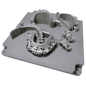 Pièces Dentaires Imprimées en 3D SLM Service de Prototypage par Impression 3D pour Appareil Médical - Product Image 2