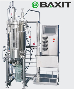 BAXIT Lab-use Bioclean <strong>Fermenter</strong> Stainless Steel <strong>Bioreactor</strong> PLC Control Peristaltic Pump 5-100L Volume for Microbial Research - Product Image 5
