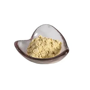 High Quality Durian Freeze-dried Powder Durian Fruit Powder