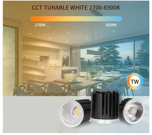 DC24V illuminazione LED modulo MR16 CCT sintonizzabile bianco 2700-6500K 10.4w Tuya Zigbee control modulo MR16