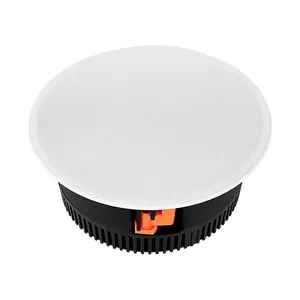 Factory Price 5.25-inch Bluetooth Hi-Fi Theater Ceiling Speaker for Home Theatre System YZ265BT