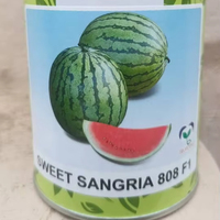 Pot en métal coloré avec étiquette en papier enveloppante, impression personnalisée, pour graines de pastèque et sangria sucrée