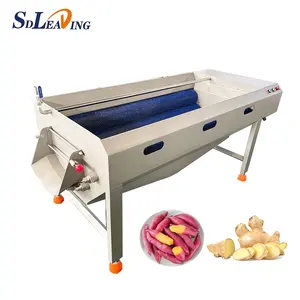 Automatic Ginger Cleaning Peeling Machine Auto Ginger Washing Machine Suppliers Price Potato Peeling Line