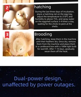 Nouvel incubateur d'œufs entièrement automatique avec un taux d'éclosion de 96 %, 220 V, plateau rotatif à 360° pour oiseaux, poulets, oies, canards, reptiles
