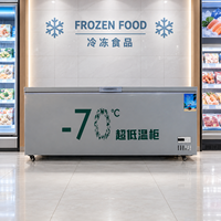 Congélateur ultra-basse température de qualité commerciale -60°C ℃   Congélateur sous comptoir à porte simple en acier inoxydable 201, refroidissement direct, dégivrage manuel