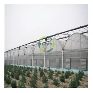 Anti Insect Cover Net Pe Machine Tunnel Steel Pipe Wrought Iron Decorative Greenhouse For Outdoor Growing Crops