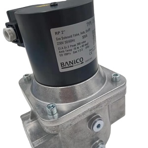 Solénoïde ZEV32 à ouverture et fermeture rapides sans régulation de débit pour pièces de chaudière BANICO Spot 20 ZEV32 - Product Image 1
