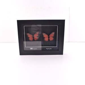 Hete Verkoop Vlinder Display Vierkant Beeldende Kunst Abstracte Kunst Frame 50 Diepe Kleine Schaduwdoos Fotolijst - Product Image 5