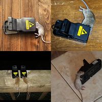 Piège à rats et souris en plastique réutilisable pour l'intérieur et l'extérieur, en acier sûr, pour le contrôle des rongeurs