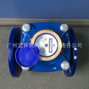 Medidores de Agua Residual Secos de Hierro Fundido con Tornillo Desmontable LXLG - Product Image 3