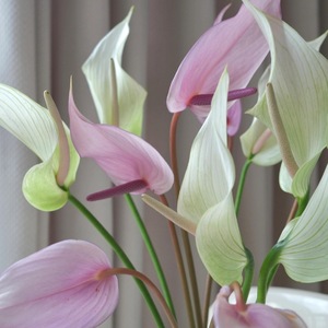 Flor Artificial de Lirio de Agua Lumina, Color Rosa Blanco, Decoración de Interiores, Decoración para Bodas y Hogar, Material de PVC - Product Image 2