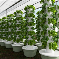 Tour de culture verticale intérieure automatique pour tomates et ananas, système aéroponique Zip Grow Tower avec pompe et éclairage de culture