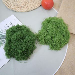 Mini-jardin paysager artificiel DIY, plantes en mousse légères pour la décoration de la maison et du bureau - Product Image 2