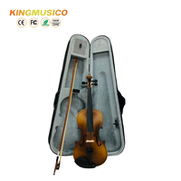 Ensemble de violon pour étudiants OEM 1/16-4/4 |   Violon d'entraînement pour débutants avec manche en érable |   Approvisionnement en gros direct d'usine, couleurs personnalisées