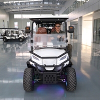 Voiturette de golf électrique tout-terrain à 4 places, homologuée CE, avec batterie au lithium, pour usage en resort, villa ou parc