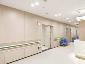 Panel de pared de tablero laminado compacto HPL antibacteriano de 5mm y 6mm para sala de pruebas de sala limpia de Hospital - Product Image 5