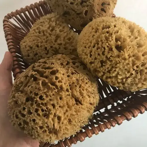 Brosses de bain naturelles de mer éponge de laine de mer pour le bain