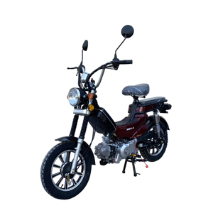 Motocyclette à essence neuve <50CC, cyclomoteur avec suspension avant hydraulique, vitesse maximale de 45 km/h, coussin de siège, mini moto à moteur - Product Image 2