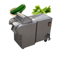 Volledig Roestvrijstalen Groentesnijmachine Aardappelgroente-En Fruitsnijmachine Groentesnij-En Snijmachine