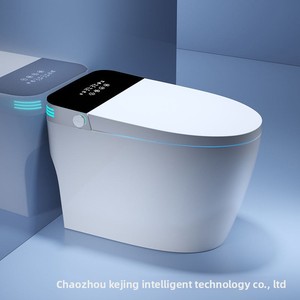 Bestseller del Sud-Est Asiatico: <span class=keywords><strong>WC</strong></span> Intelligente in Acciaio Inox Tutto-in-Uno, Modello Domestico con Telecomando, <span class=keywords><strong>Coperchio</strong></span> Automatico Senza Acqua - Product Image 5