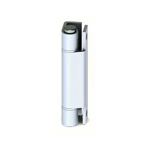 Weiß PVC Rebate Flush Hochleistungs-Edelstahl Kleines Tür scharnier 100mm Scharnier Doppel verglaste Tür scharnier