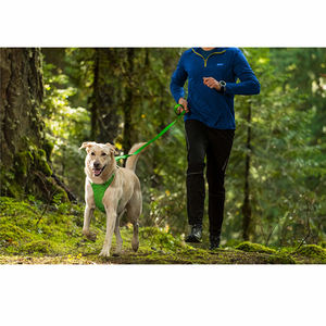 <span class=keywords><strong>Harness</strong></span> Anjing Berkualitas Tinggi, Terjangkau, Dapat Disesuaikan, Personal, Tahan Lama, dan Nyaman - Product Image 4