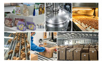 Soutien OEM/ODM – Nouveaux Compléments à Croquer Riches en Collagène et Protéines pour Articulations, Cartilage et Peau de Chats et Chiens, avec Vitamine C et Acide Hyaluronique