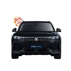 2024 China Luxury New Electric Car Voyah Free New Energy Vehicles 4WD Versión de largo alcance extendido Lantu Free nuevo automóvil