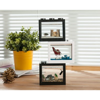 Mini PVC écologique de réservoir de poissons de Betta de LED acrylique transparent pour la visualisation de bureau de salle à manger
