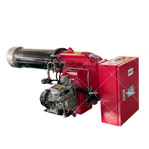 Brûleurs au méthanol de qualité industrielle: compatibilité multi-combustibles, normes de sécurité élevées respectées - Product Image 5