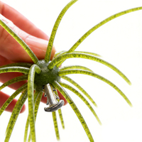 MISTER LURE Urchin Rig Nail PYRAMID Unregelmäßig geformtes Bleigewicht für Seeigelköder – Kostengünstiges Angelzubehör