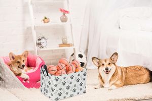 Panier rectangulaire pour chien, panier de rangement pour enfants avec poignées pour la décoration de la chambre, bacs de rangement pour chiots - Product Image 3