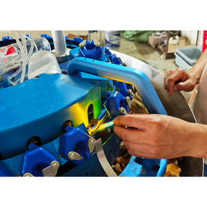 Equipo combinado de corte y vacunación de boca de pollo al por mayor Máquina cortadora de pico láser de pollito de alta eficiencia y precisión - Product Image 3