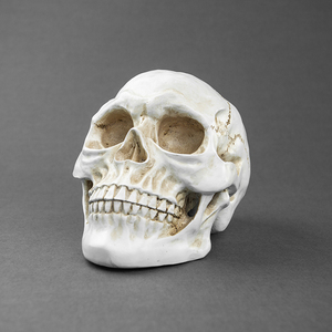 Su misura il cranio ornamenti in resina mini resina teschio umano per la vendita modello di arte decorazione <span class=keywords><strong>teschi</strong></span> - Product Image 1