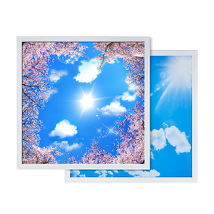 Jiaxing fábrica barato 600*600 603*603 2x2ft Sky Panel de luz de <span class=keywords><strong>techo</strong></span> Panel de luz nube cielo Led <span class=keywords><strong>tragaluz</strong></span> Panel de <span class=keywords><strong>techo</strong></span> - Product Image 2