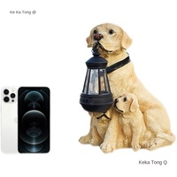 Lampe solaire LED pour animaux avec résine pour chiot Décoration de jardin extérieure étanche Conception pendule IP65