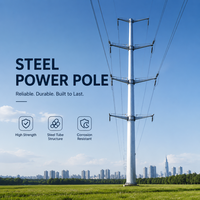 Poste de Acero Octagonal Cónico Galvanizado en Caliente, Confiable, para Programas de Electrificación Rural en Áreas Remotas